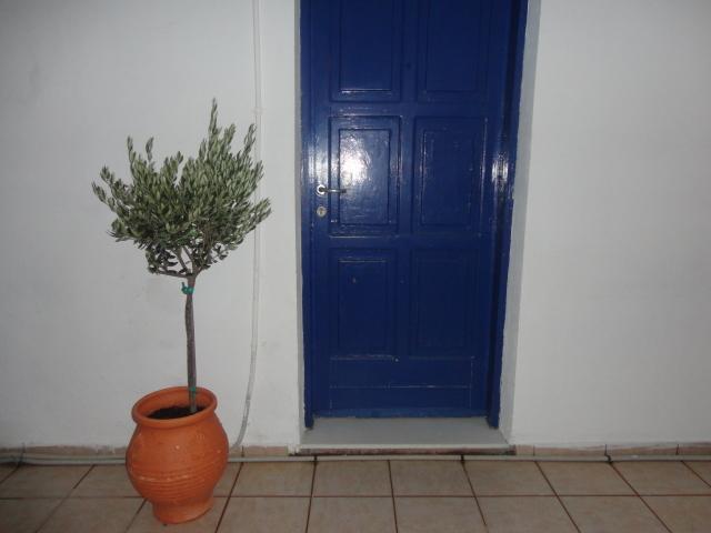 Pavlos Rooms Livadia  Extérieur photo